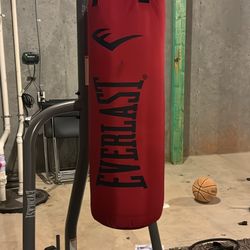 Everlast Punching Bag With Everlast Stand