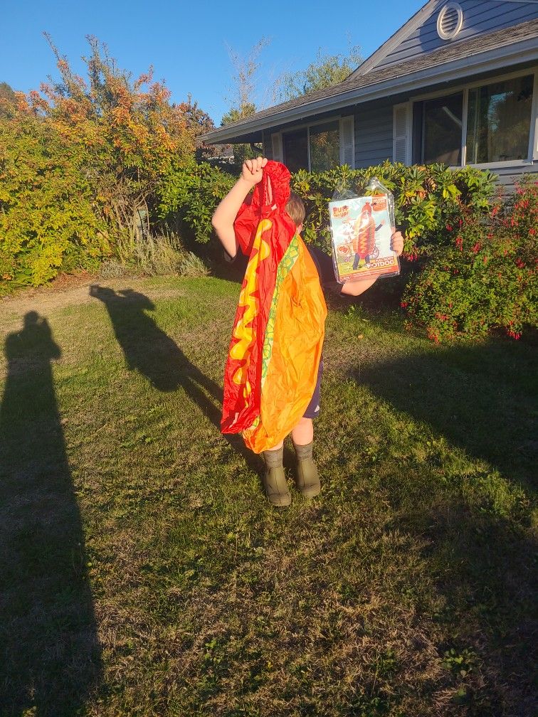 Inflatable Halloween Hot Dog Costume