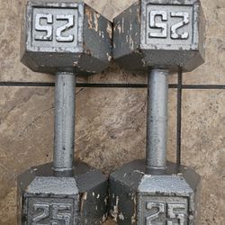 25lb Dumbbell Set