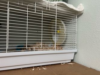 Hamster cage