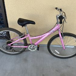 24” Trek Pettie Adults/ Women Kids Girls Preteen Youth Mountain Bike