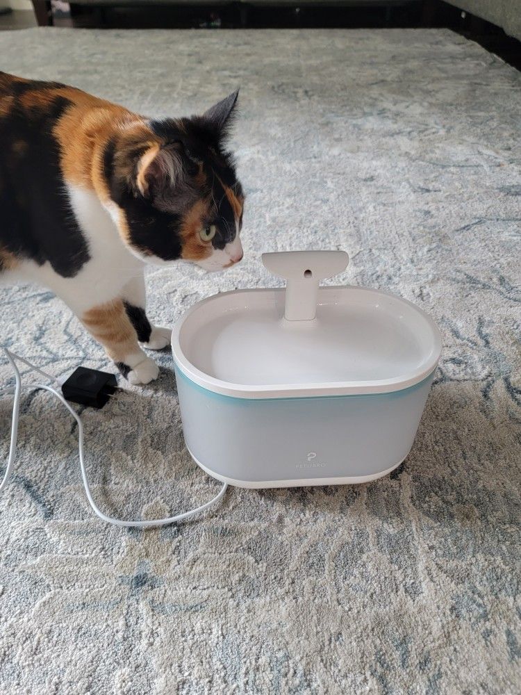 Pet automatic drinking fountain