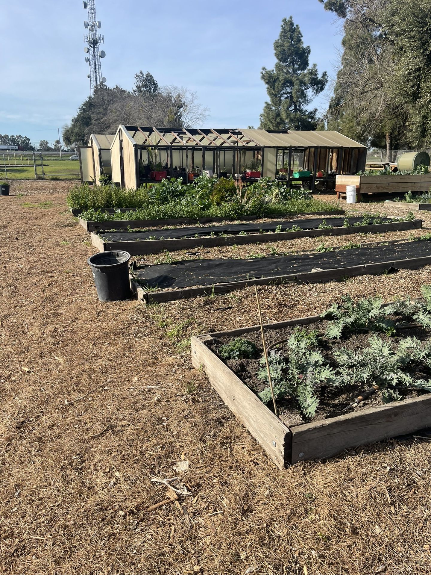 Need Donated Truck For Urban Farming Nonprofit