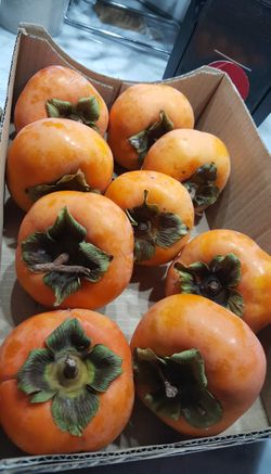 Persimmon Fruit Fully Ripened $1 Each 