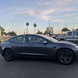 2023 Tesla Model 3 $29.995