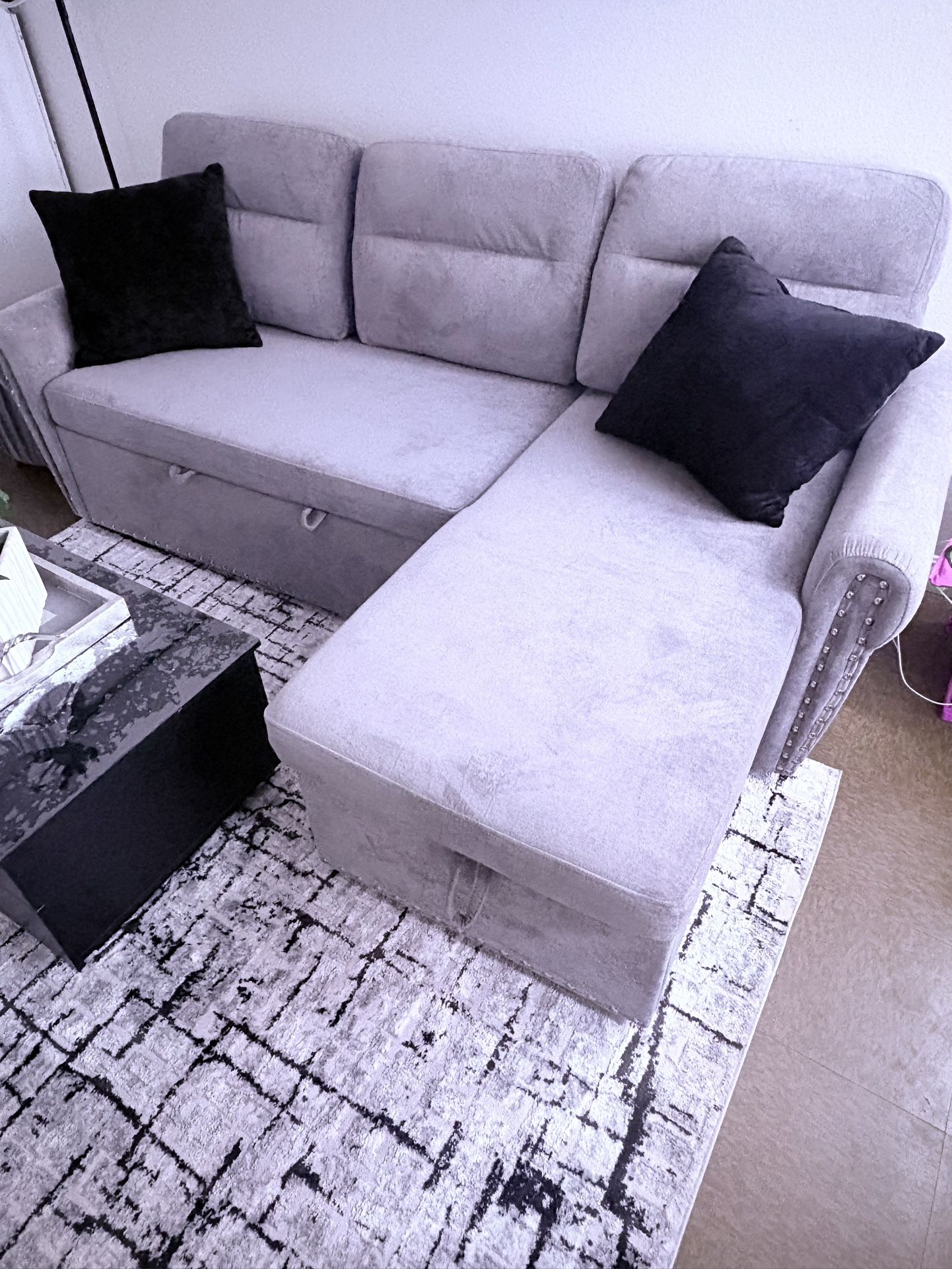 Sectional Sleeping Sofa With Storage