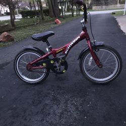 16” Schwinn Bike 
