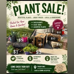 Plant Sale / Coop Boxes 