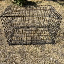 Dog Cage