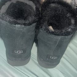 Ugg Boots NEW