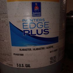 Interior/Exterior Alabaster Flat 5 gallon  Paint