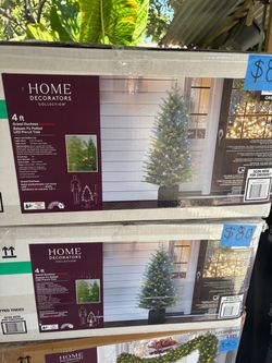 4 ft Potted Grand Duchess Twinkling Balsam Fir LED Pre-Lit Christmas Tree