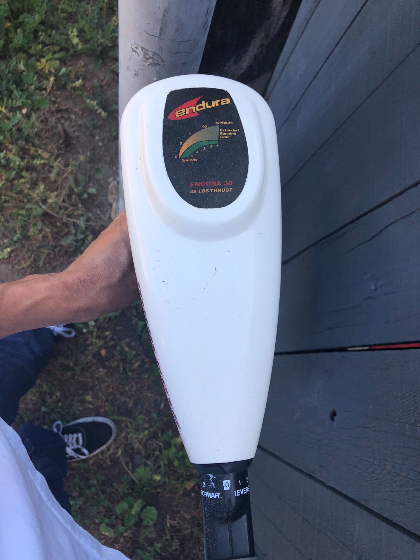Minn Kota endura 38 lbs thrust trolling motor