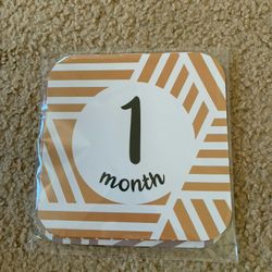 Monthly Milestone Cards For Baby
