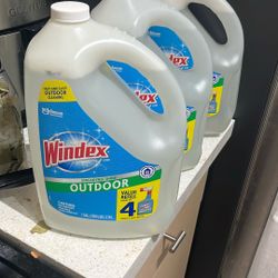 Windex Streak-Free Shine! Outdoor 1 Gal X3