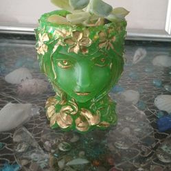 Mermaid Succulent Or  Air Plant.  Head