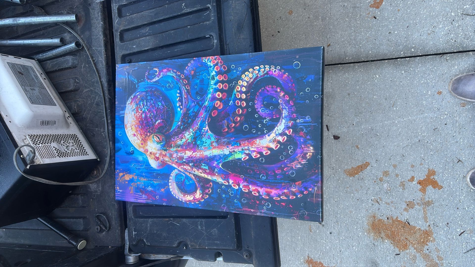 Canvas Art