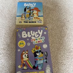 Kids Bluey Book And Coloring