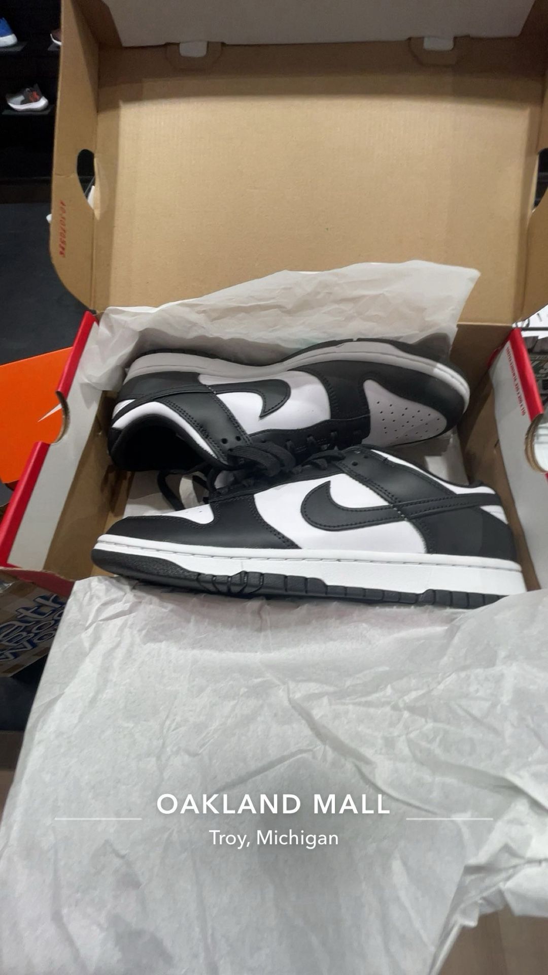 Nike low dunks mens 9