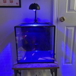 15 Gallon Aquarium AIO + Light + Heater & More 