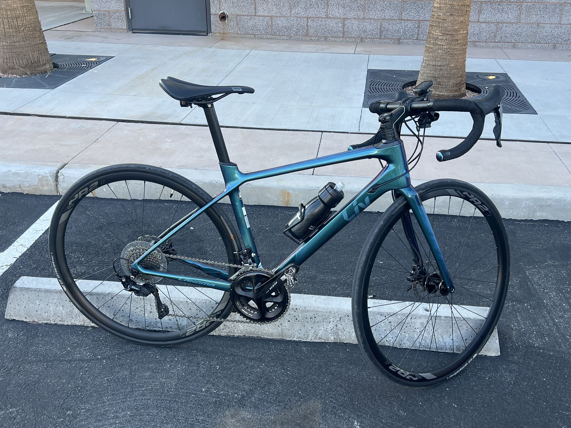 Giant Liv  Carbon Fiber Road Bike