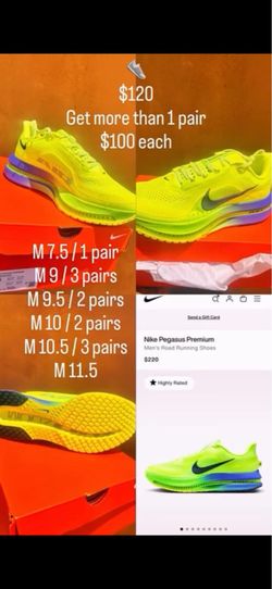 Nike Pegasus premium