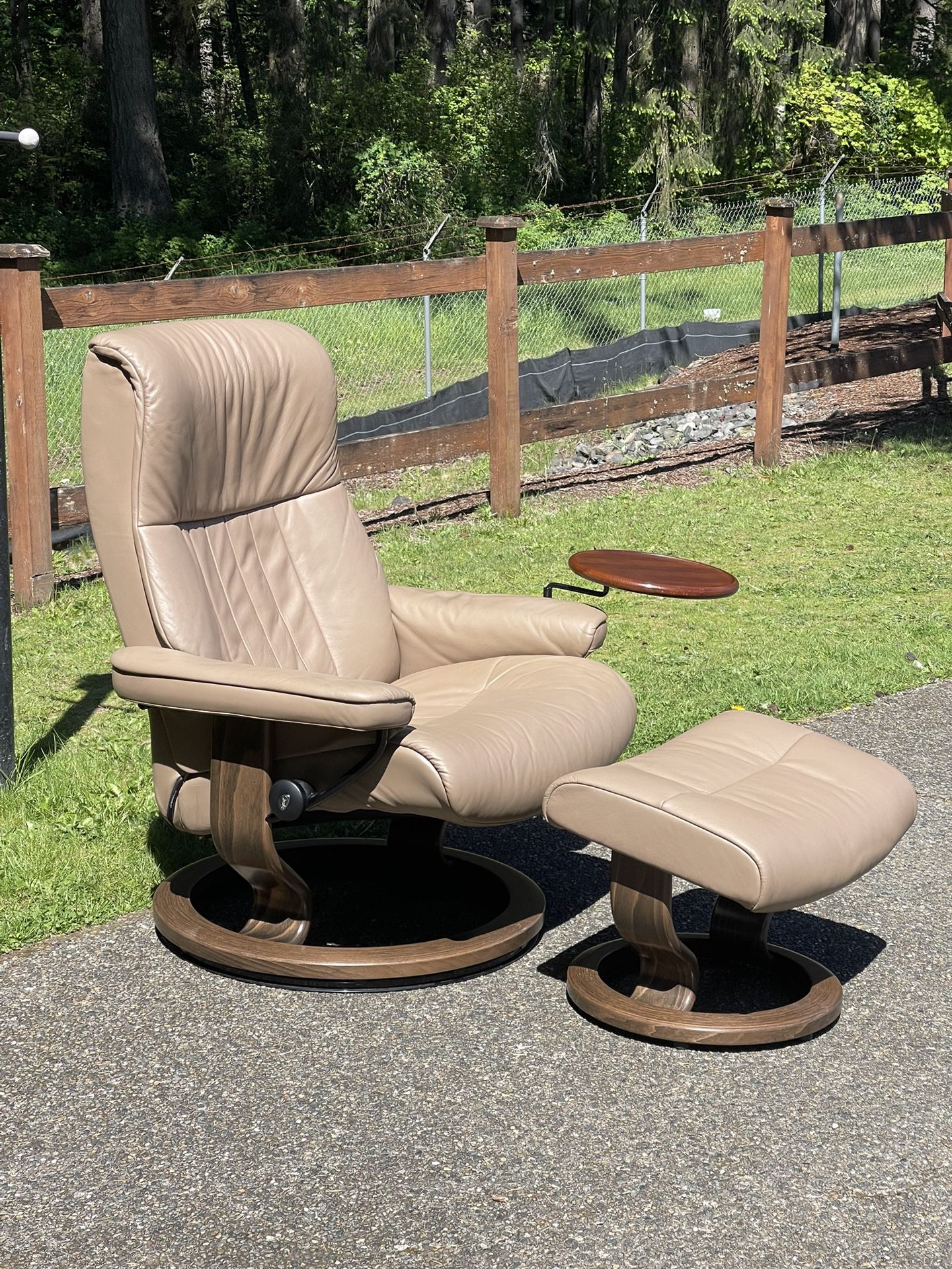 Ekornes Stressless Chair And Ottoman