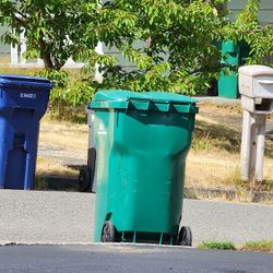 Dirt Inside Yard Waste Bin