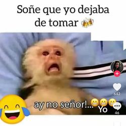 Para De Sufrir  Te Puedo Ayudar Con AA Y NA
