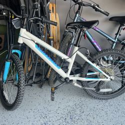 20in Youth Bike 