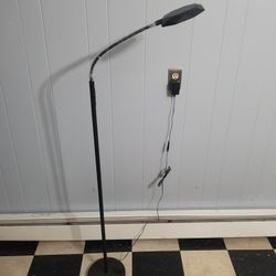 Floor Lamp with remote
