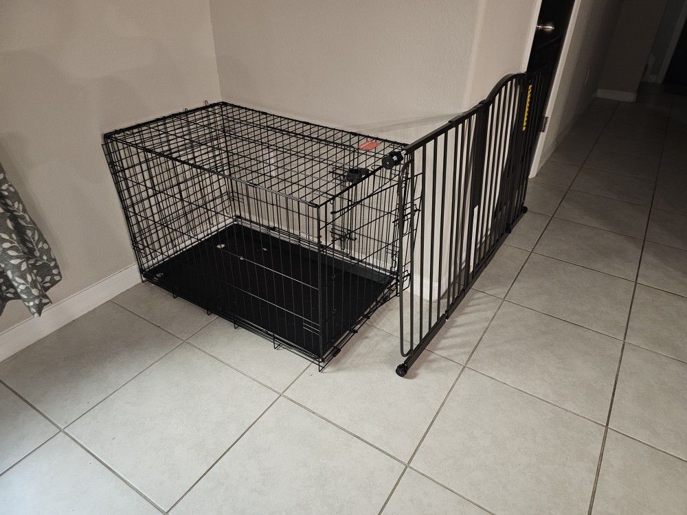 Everything You Need For Puppy
