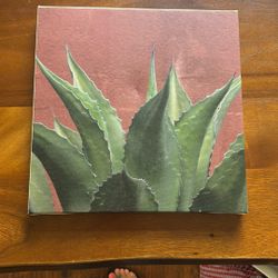 Canvas Print 
