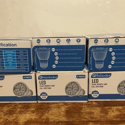 LED LIGHTS