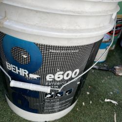 Dark Beige 5 Gallons Velvet Little Shine On It 