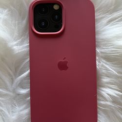 iPhone 13/12 Pro Max CASE