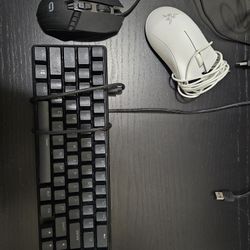 Gaming Set Up/Gear