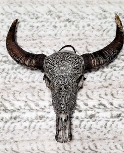 Carved Buffalo Skull Lotus Grey Medium Horn