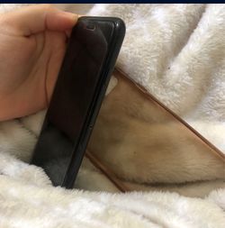 iPhone 7