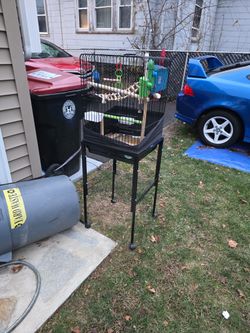 Bird Cage