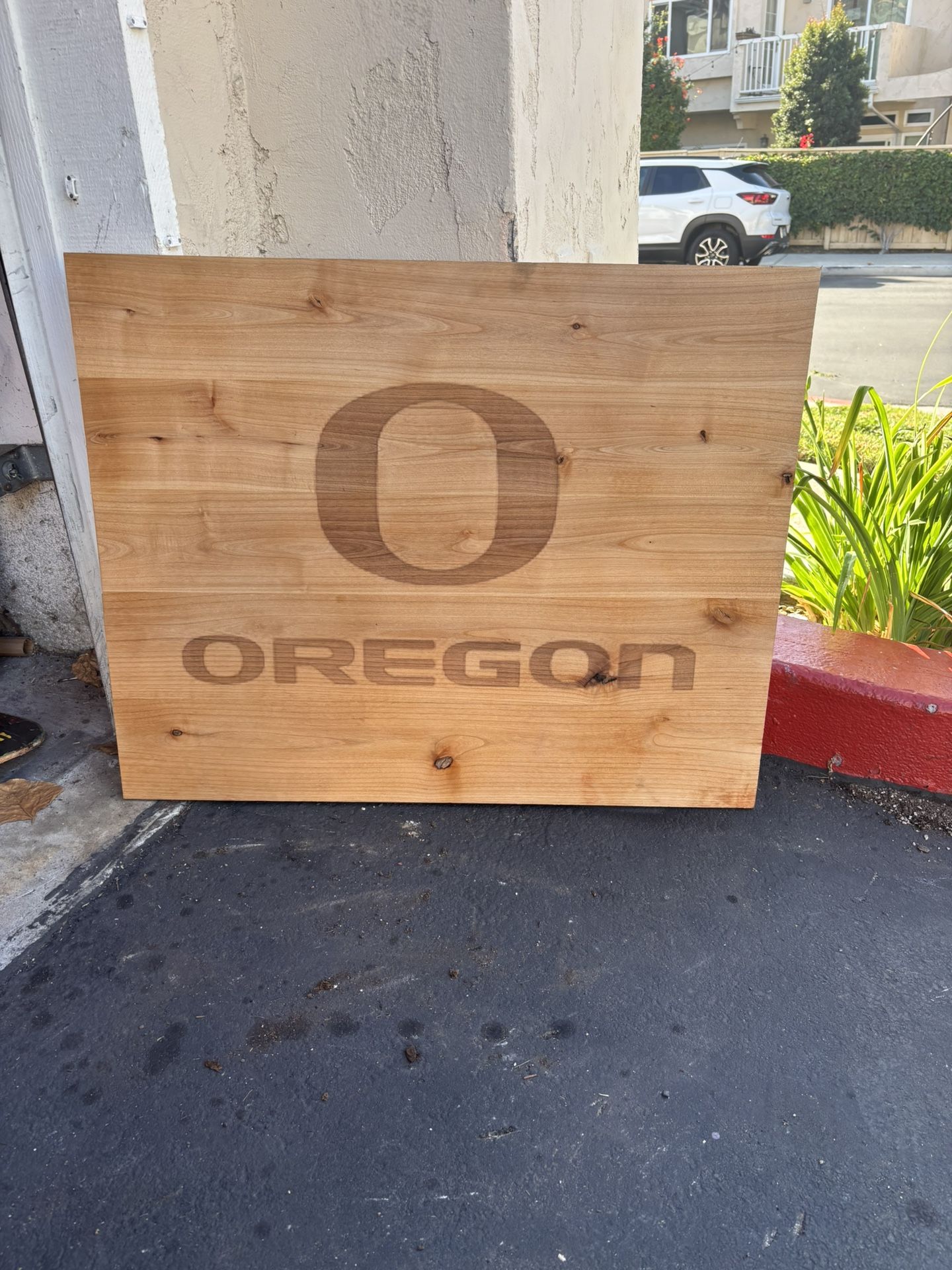 Custom Organ, Ducks Wall Art