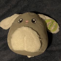 Blake the Gray Easter Bunny Rabbit with Big Eyes 8” Squishmallow NWT