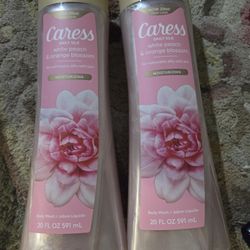 2 Bottles Of Caress Daily Silk Body Washes