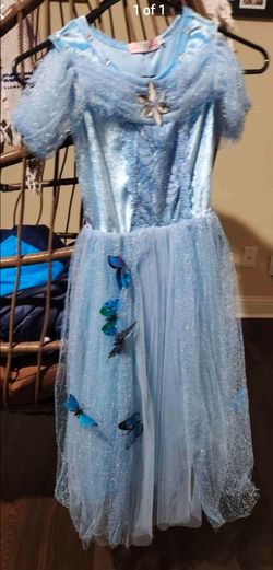 Cinderella costume