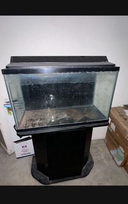 29 Gallon Fish Tank - Light  and Stand