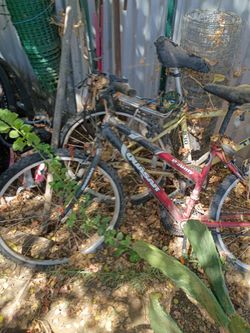 Bikes bicicletas 40 each