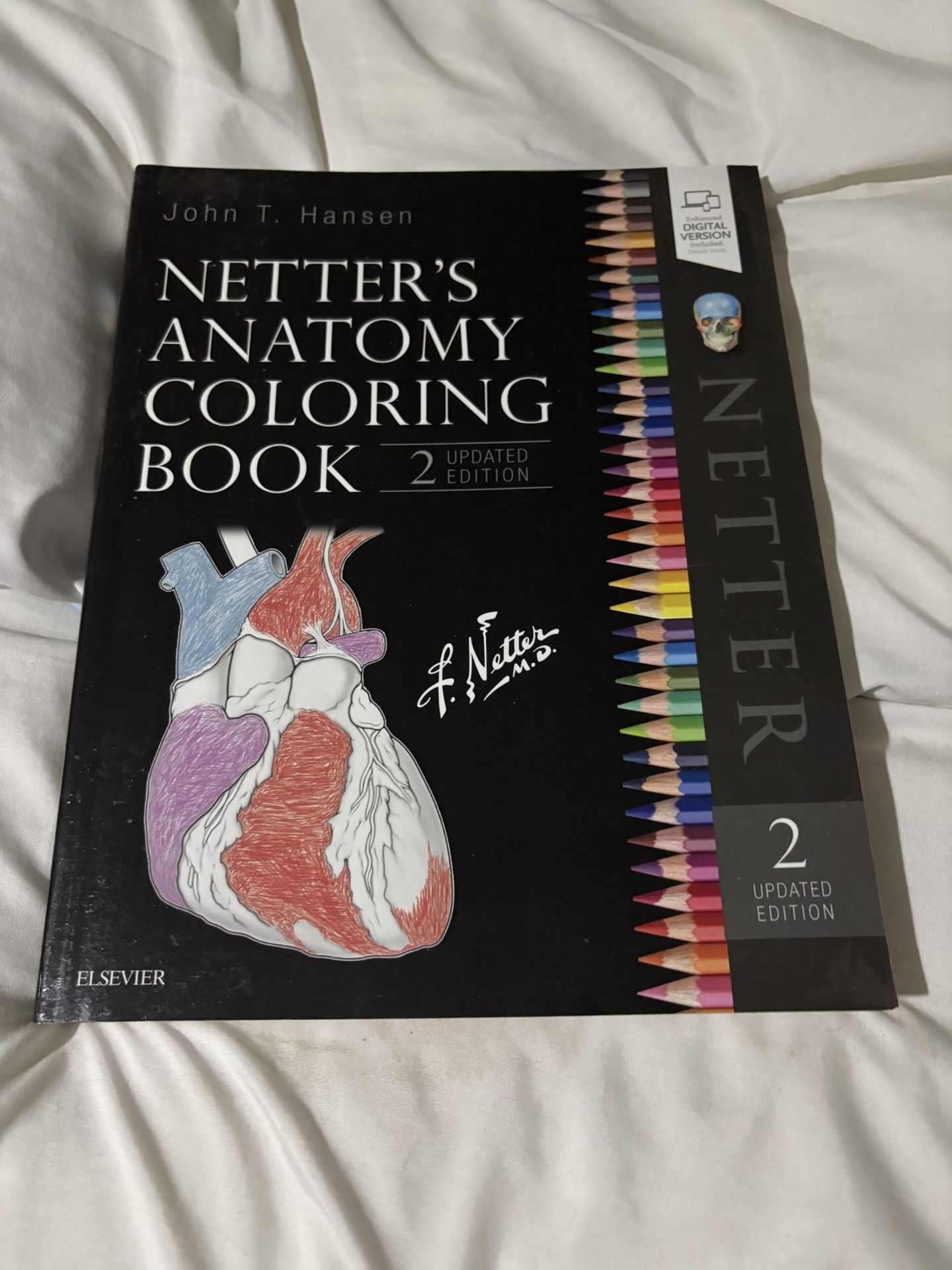 netters anatomy coloring book/study book