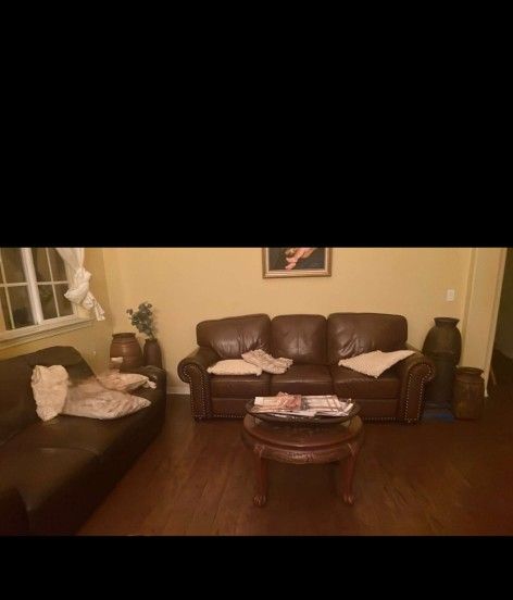 Leather Couches
