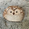 Wise Like An Owl 