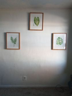 3 Framed Plant/Tree Pictures 